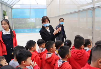 與“醬”同行，玩出快樂——金色童年幼兒園親子游活動